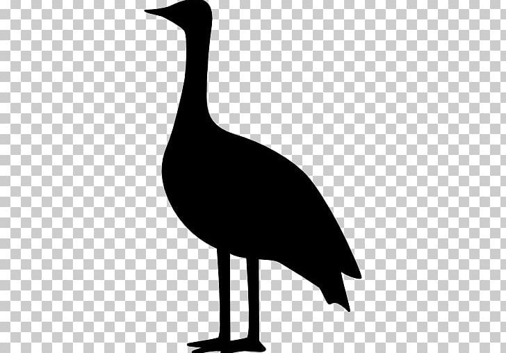Crane Bird Goose Computer Icons PNG, Clipart, Animal, Barn Swallow, Beak, Bird, Black And White Free PNG Download