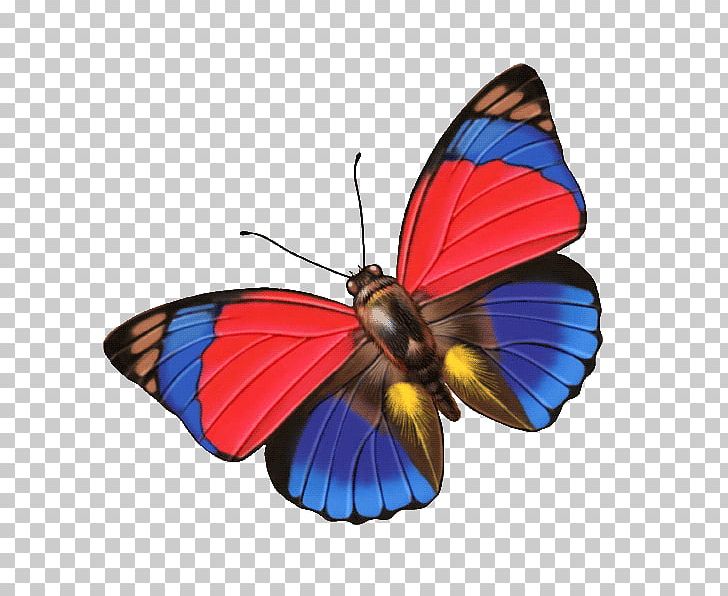 Monarch Butterfly Google S PNG, Clipart, Balloon Cartoon, Boy Cartoon, Brush Footed Butterfly, Butterfly, Cartoon Character Free PNG Download