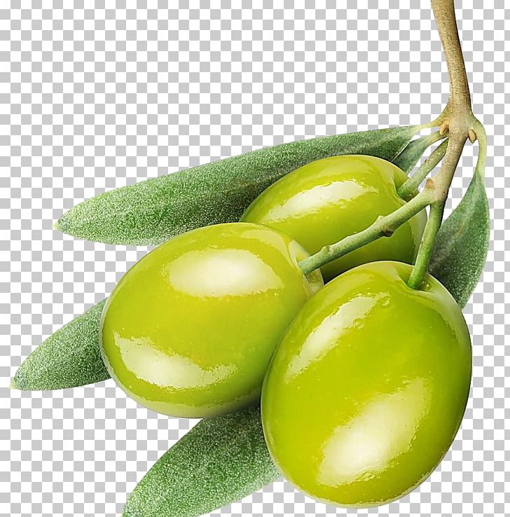 Olive Oil PNG, Clipart, Adobe Illustrator, Background Green, Creative, Encapsulated Postscript, Extra Virgin Olive Oil Free PNG Download