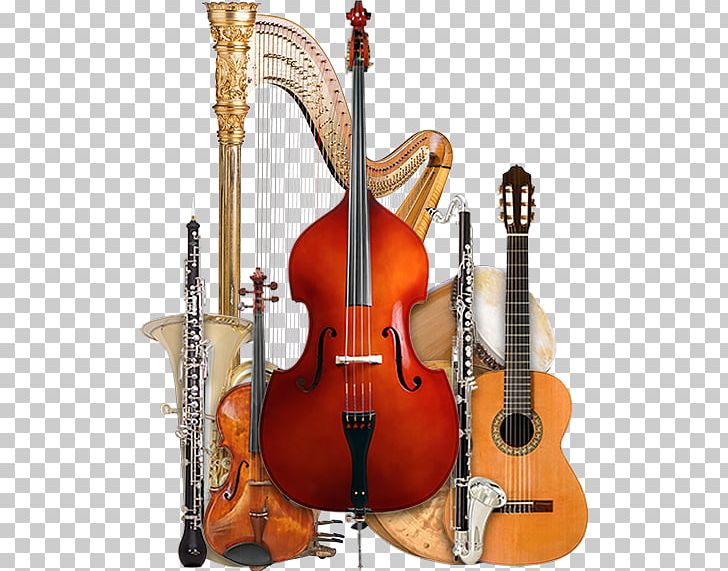Bass Violin Violone Double Bass Viola Bass Guitar PNG, Clipart, Acoustic Electric Guitar, Acoustic Guitar, Bass Guitar, Bass Violin, Bowed String Instrument Free PNG Download