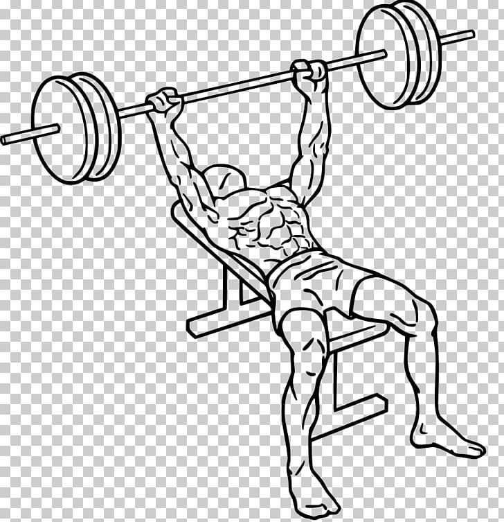 Bench Press Fly Barbell Smith Machine PNG, Clipart, Abdomen, Angle, Area, Arm, Auto Part Free PNG Download