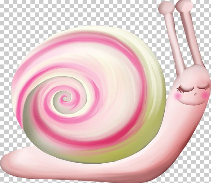 Animal Orthogastropoda PNG, Clipart, Animal, Cartoon, Computer Network, Confectionery, Download Free PNG Download
