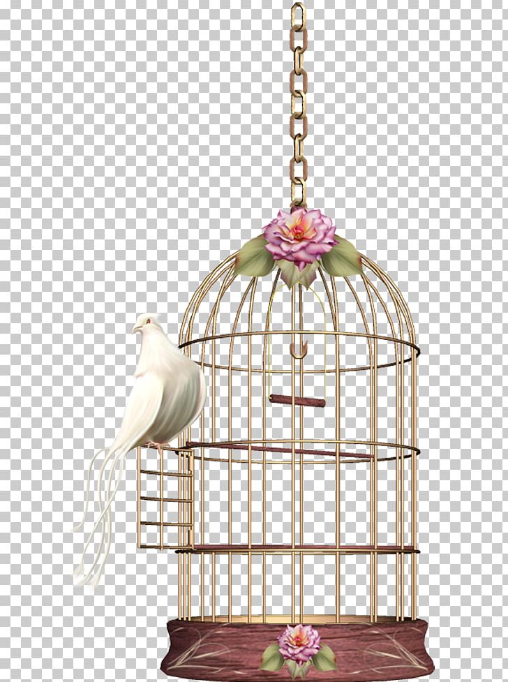 Birdcage Cockatiel PNG, Clipart, Animals, Bird, Bird Cage, Birdcage, Cage Free PNG Download