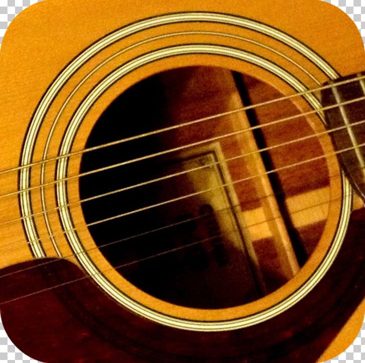 Acoustic Guitar Tiple Bass Guitar Cavaquinho Cuatro PNG, Clipart, Acoustic, Acoustic Electric Guitar, Acoustic Guitar, Cuatro, Finger Balance Free PNG Download