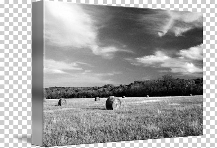 Stock Photography Frames Prairie PNG, Clipart, Black And White, Cloud, Countryside, Field, Film Frame Free PNG Download