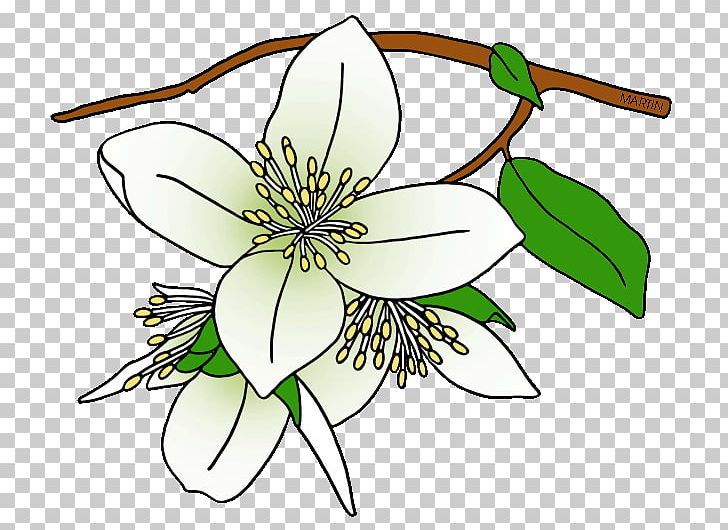 Syringa State Flower Drawing PNG, Clipart, Artwork, Black And White, Branch, Cut Flowers, Drawing Free PNG Download