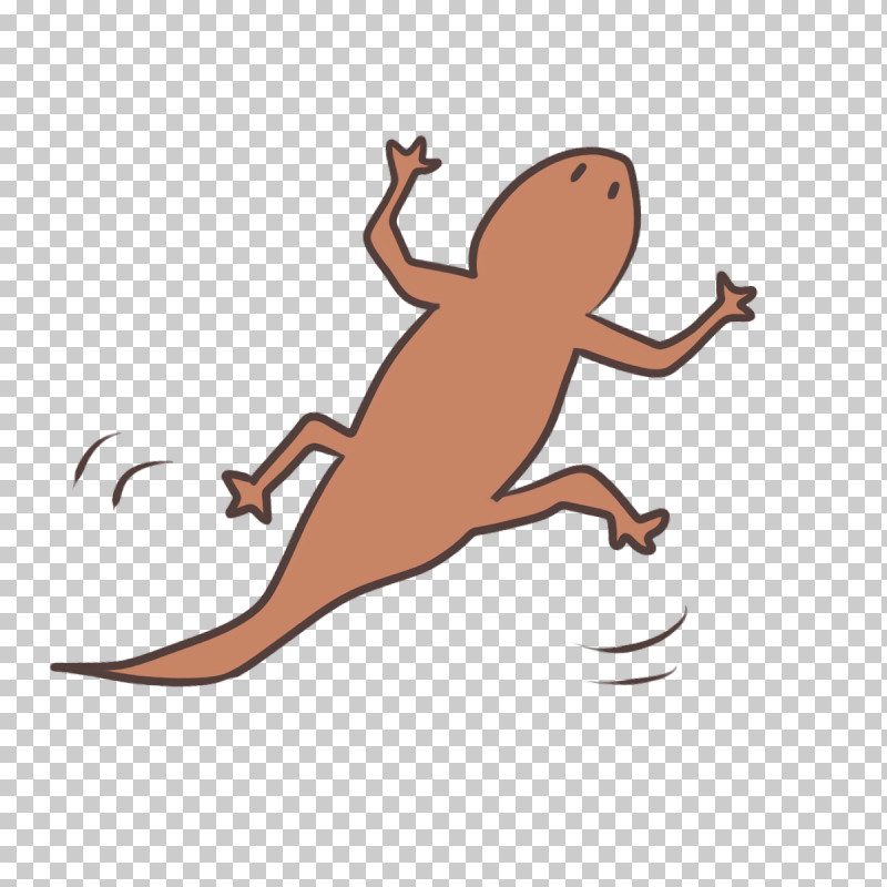 Reptiles Amphibians Joint Orange S.a. PNG, Clipart, Amphibians, Biology, Human Biology, Human Skeleton, Joint Free PNG Download
