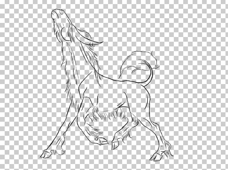 Mustang Figure Drawing Line Art Sketch PNG, Clipart, Animal Figure, Arm, Artwork, Black And White, Carnivora Free PNG Download