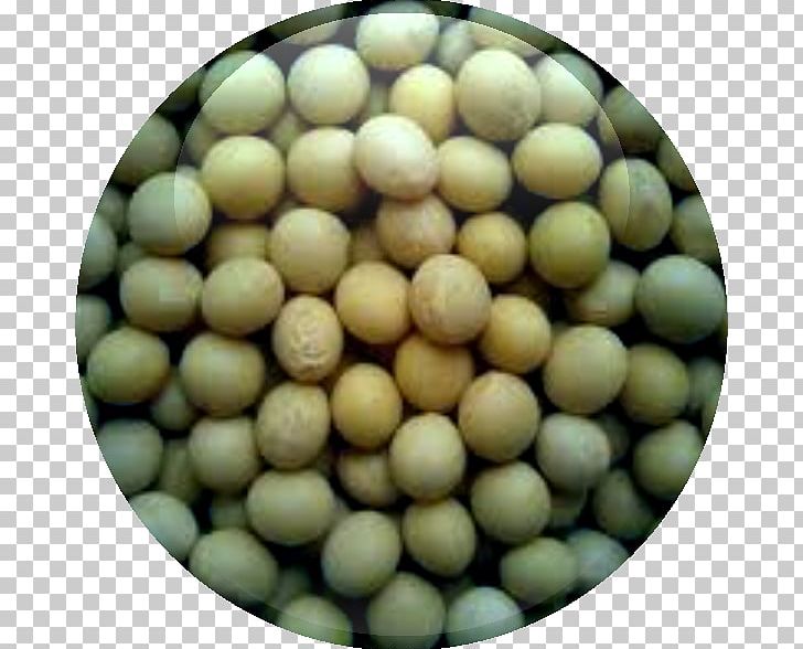 Soy Milk Soybean Meal Seed Oil PNG, Clipart, Bean, Cereal, Commodity, Food, Fruit Free PNG Download