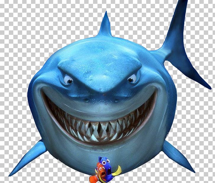Bruce Marlin YouTube Finding Nemo Pixar PNG, Clipart, Andrew Stanton, Bruce, Cartilaginous Fish, Electric Blue, Film Free PNG Download