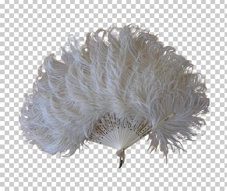 Feather Common Ostrich Dress PNG, Clipart, Animal, Animals, Antique, Background, Celluloid Free PNG Download