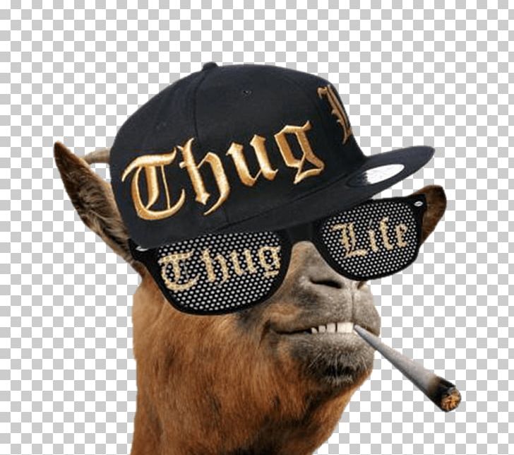 Thug Life Internet Meme Video PNG, Clipart, App Store, Cap, Celebrities, Download, Eyewear Free PNG Download