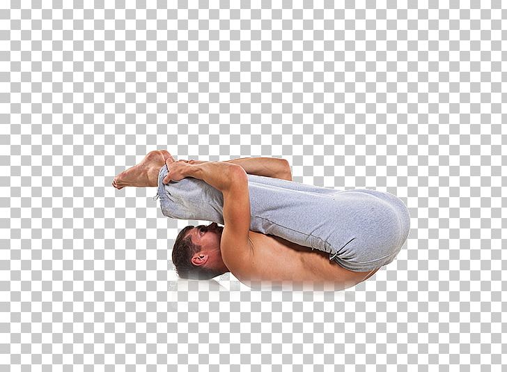 Yoga Physical Exercise Vecteur Bodybuilding PNG, Clipart, Abdomen, Arm, Balance, Chest, Fitness Free PNG Download