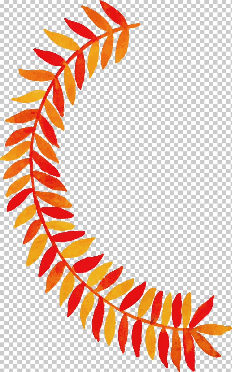 Autumn Leaf Colorful Leaf PNG, Clipart, Autumn Leaf, Biology, Colorful Leaf, Leaf, Line Free PNG Download