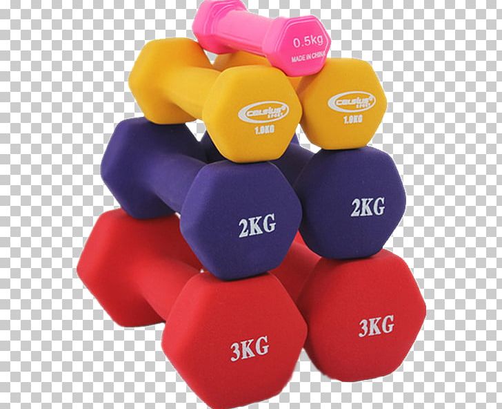 Dumbbell Physical Exercise Exercise Equipment Barbell Bodybuilding PNG, Clipart, Arm, Barbell, Bodybuilding, Care, Color Free PNG Download