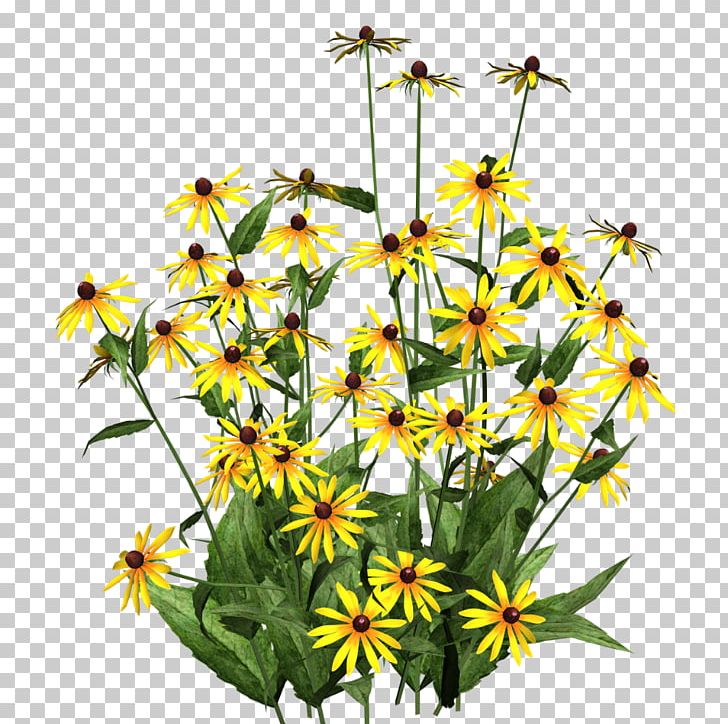 Gardening Garden Tool Abri De Jardin PNG, Clipart, Abri, Abri De Jardin, Aster, Black, Chamaemelum Nobile Free PNG Download