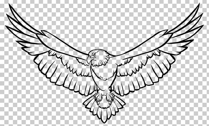 Line Art Drawing PNG, Clipart, Animals, Arm, Art, Artwork, Beak Free PNG Download