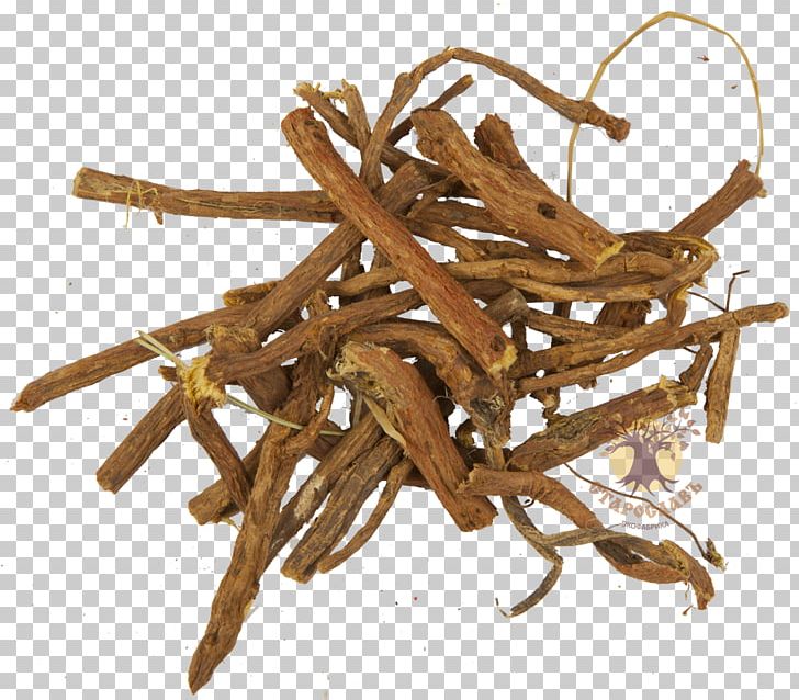 Liquorice Root Herbaceous Plant Ingredient PNG, Clipart, Branch, Dianhong, Eating, Fireweed, Health Free PNG Download