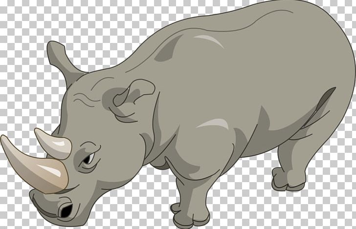 Rhinoceros Cartoon PNG, Clipart, Animal, Animals, Animation, Cartoon Character, Cartoon Couple Free PNG Download