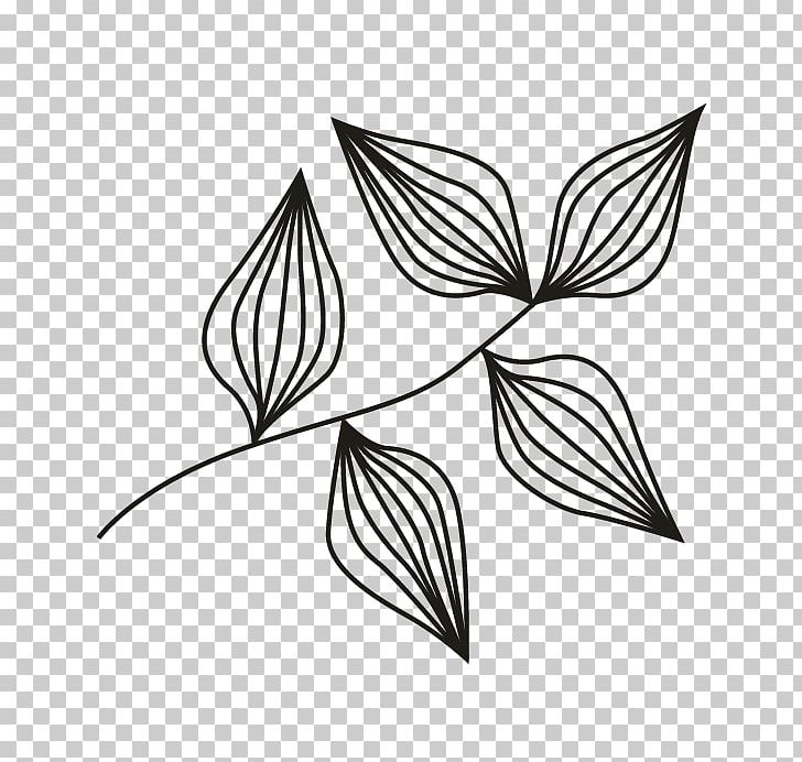/m/02csf Line Art Drawing Leaf PNG, Clipart, Angle, Artwork, Black And White, Branch, Drawing Free PNG Download