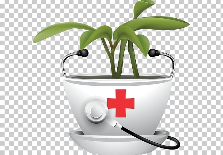 Medicinal Plants Therapy Traditional Medicine Drug PNG, Clipart, Active, Avicenna, Blood Vessel, Cup, Disease Free PNG Download