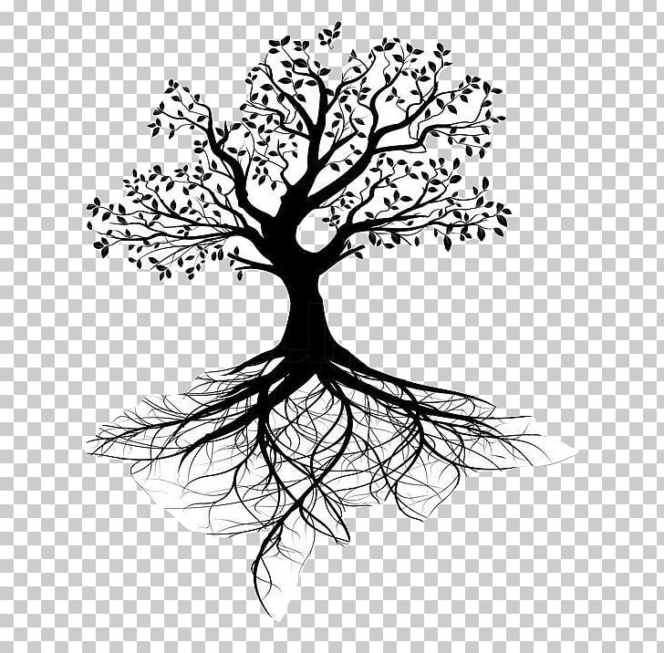 Stock Photography Tree Of Life Root PNG, Clipart, Art, Artwork, Black And White, Branch, Drawing Free PNG Download