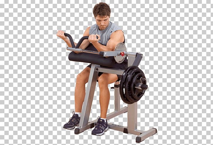 Triceps Brachii Muscle Biceps Curl Bench Strength Training PNG, Clipart, Abdomen, Arm, Balance, Barbell, Exercise Equipment Free PNG Download