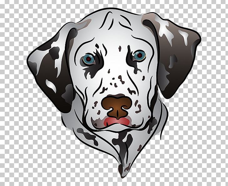 Dalmatian Dog Puppy Poodle Dachshund Chihuahua PNG, Clipart, Animals, Carnivoran, Chihuahua, Cuteness, Dachshund Free PNG Download