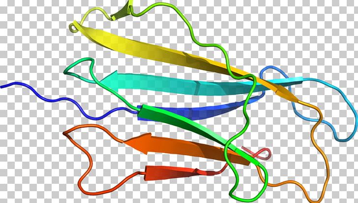 Line Point Organism PNG, Clipart, Area, Art, Line, Organism, Peptidomimetic Free PNG Download