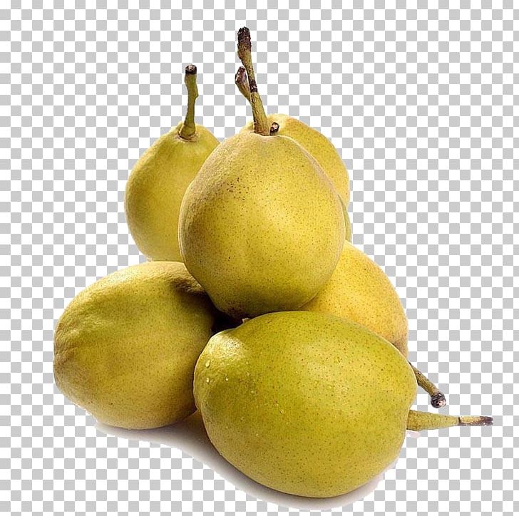 Pear Fruit Lemon Food PNG, Clipart, Apple Pears, Citric Acid, Citron, Citrus, Citrus Junos Free PNG Download