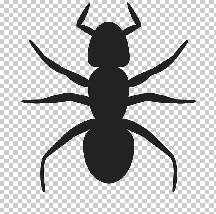 Ant PNG, Clipart, Ant, Ants, Arthropod, Artwork, Black And White Free PNG Download