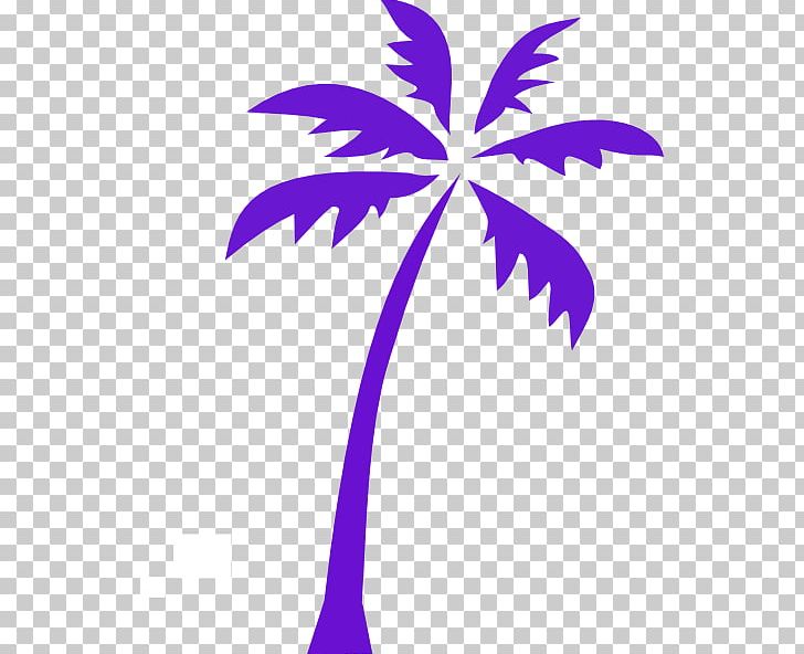 Arecaceae Tree PNG, Clipart, Arecaceae, Arecales, Branch, Clip, Date Palm Free PNG Download