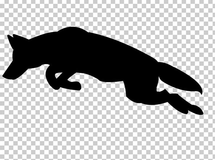 Coyote Gray Wolf Silhouette PNG, Clipart, Animal, Black, Black And White, Carnivoran, Cat Free PNG Download