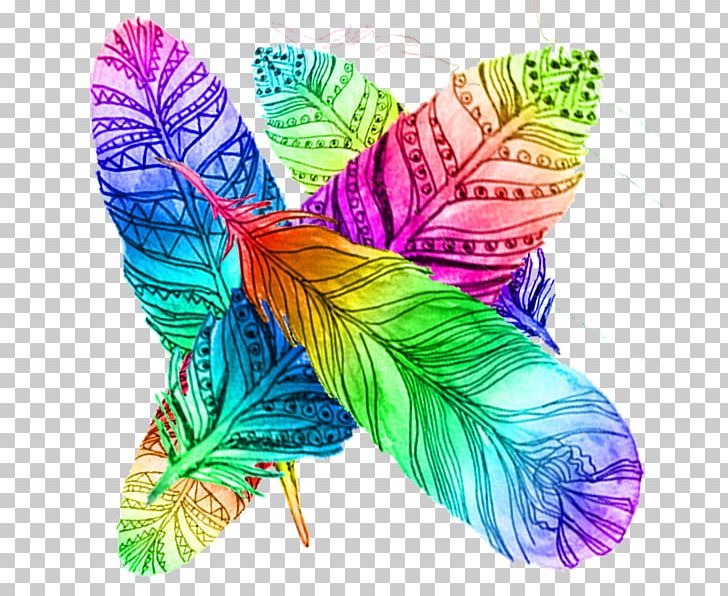 Feather Color Gradient Euclidean PNG, Clipart, Butterfly, Color, Colorful, Color Grad, Color Pencil Free PNG Download