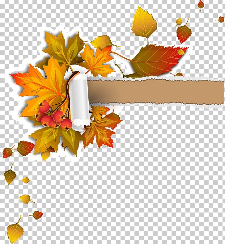 Paper Icon PNG, Clipart, Border Frame, Christmas Frame, Encapsulated Postscript, Flower, Flower Arranging Free PNG Download