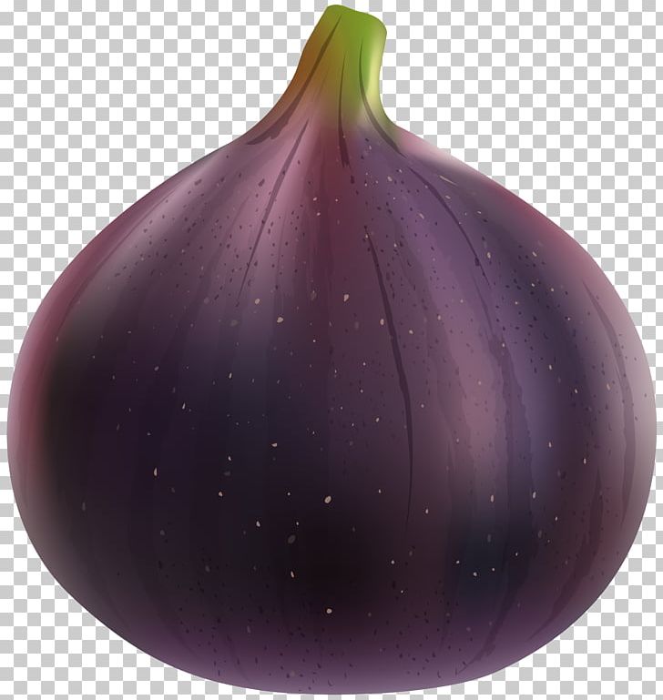 Red Onion Purple PNG, Clipart, Clip Art, Clipart, Fig, Fruit, Fruits Free PNG Download