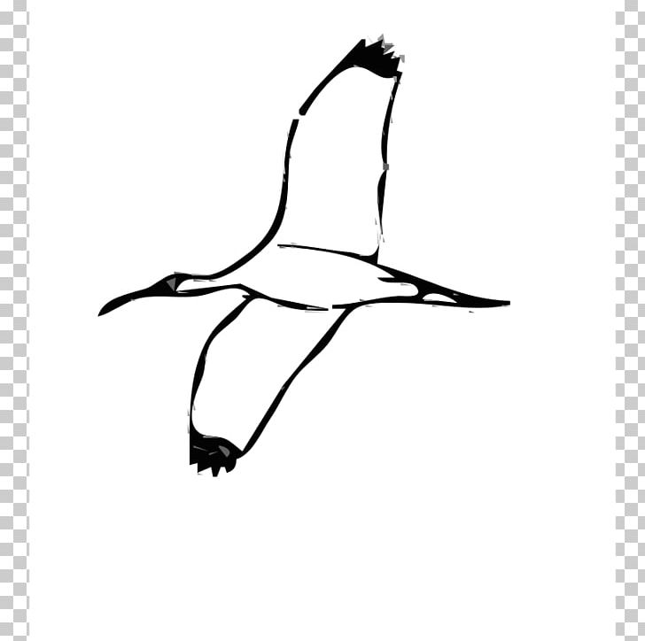 Drawing Line Art PNG, Clipart, Arm, Art, Beak, Bird, Black Free PNG Download