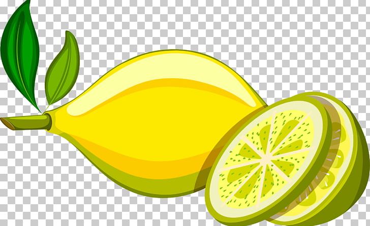 Lemon Yellow Persian Lime PNG, Clipart, Auglis, Citric Acid, Citron, Citrus, Decorative Free PNG Download