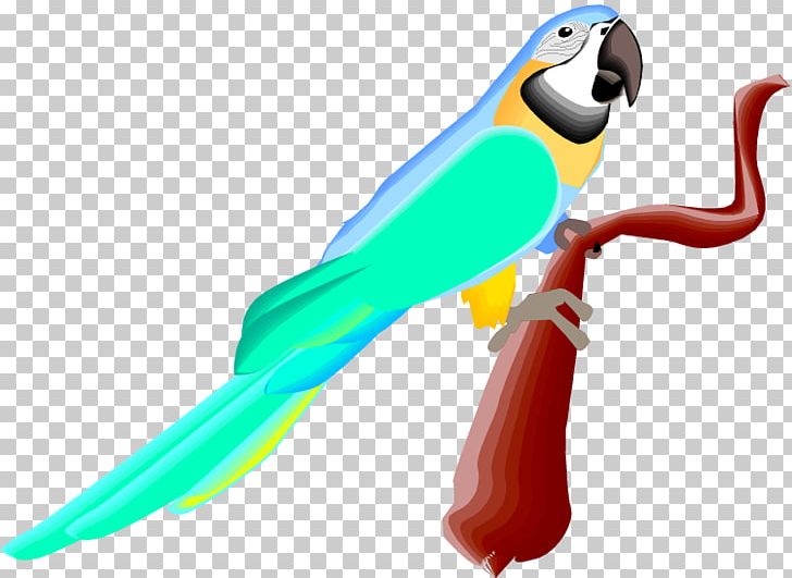 Macaw Budgerigar True Parrot PNG, Clipart, Animaatio, Animal, Animal Figure, Beak, Bird Free PNG Download