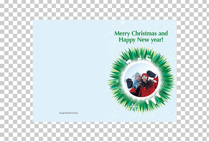 Christmas Ornament PNG, Clipart, Christmas, Christmas Ornament, Holidays, Tree Free PNG Download