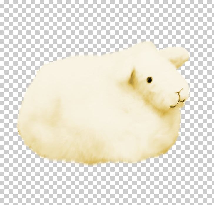 Domestic Rabbit Fur Snout Muroidea PNG, Clipart, Animals, Domestic Rabbit, Fur, Muroidea, Rabbit Free PNG Download