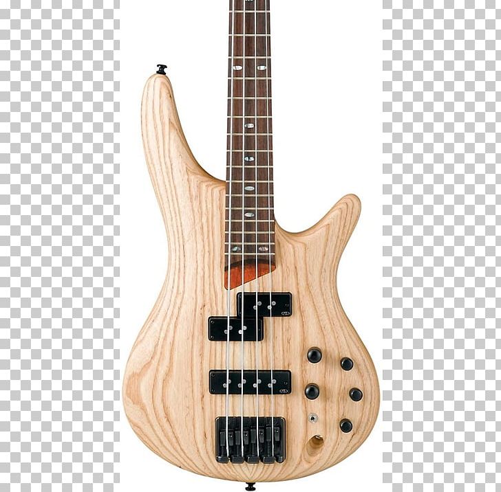 Ibanez SR655 Electric Bass Bass Guitar String Instruments PNG, Clipart, Acoustic Electric Guitar, Double Bass, Guitar, Guitar Center, Ibanez Free PNG Download