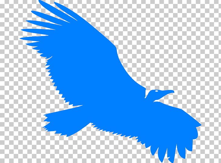 Turkey Vulture Beaky Buzzard Silhouette PNG, Clipart, Animals, Beak, Beaky Buzzard, Bird, Bird Of Prey Free PNG Download