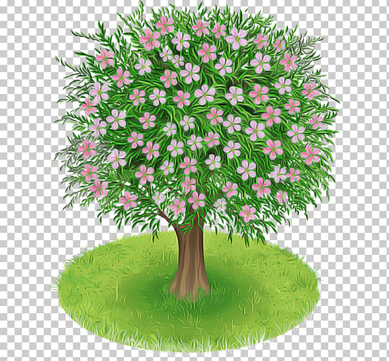Tree Plant Grass Green Flower PNG, Clipart, Branch, Flower, Flowerpot, Grass, Green Free PNG Download