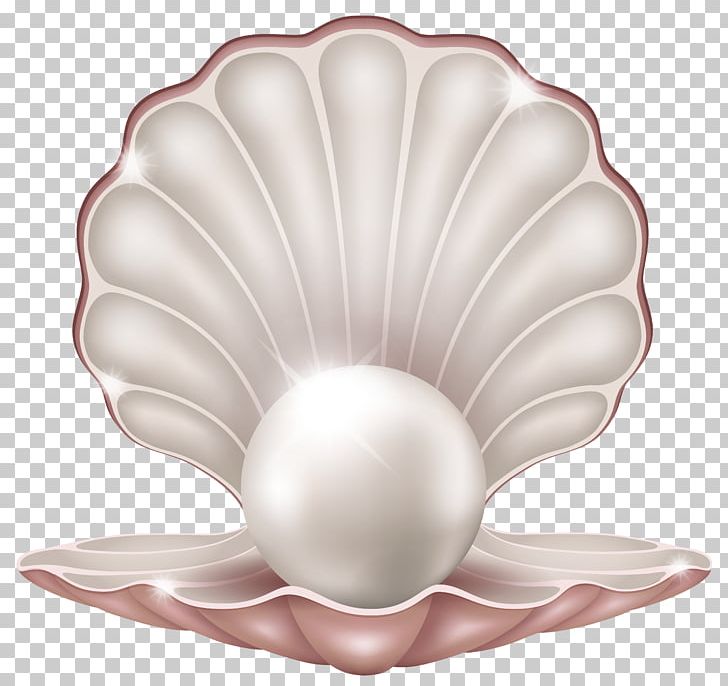 Clam Pearl Seashell PNG, Clipart, Clam, Clip Art, Flower, Free Content, Mollusc Shell Free PNG Download