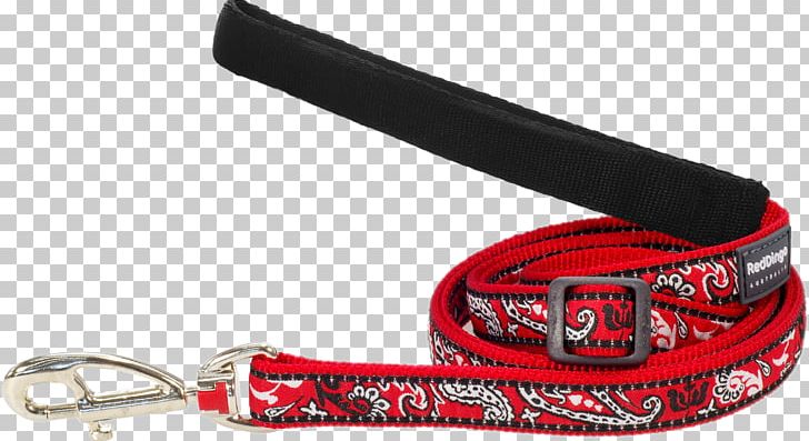 Leash Dingo Collar Dog Harness Samoyed Dog PNG, Clipart, Carabiner, Collar, Dingo, Dog, Dog Harness Free PNG Download