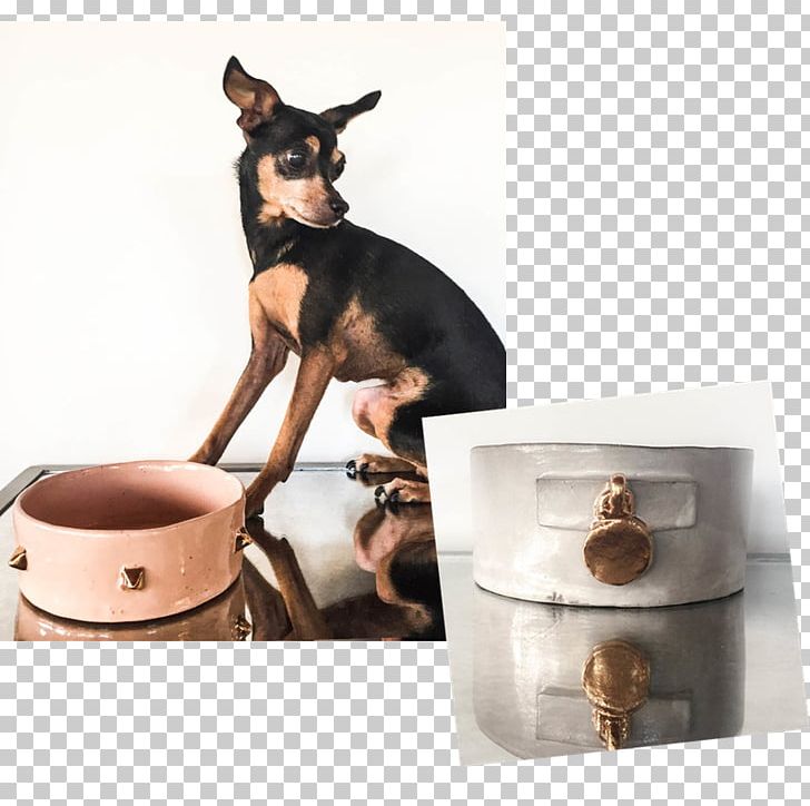 Miniature Pinscher Prague Ratter German Pinscher Dog Breed Puppy PNG, Clipart, Bowl, Breed, Celebrate National Day, Collar, Dog Free PNG Download