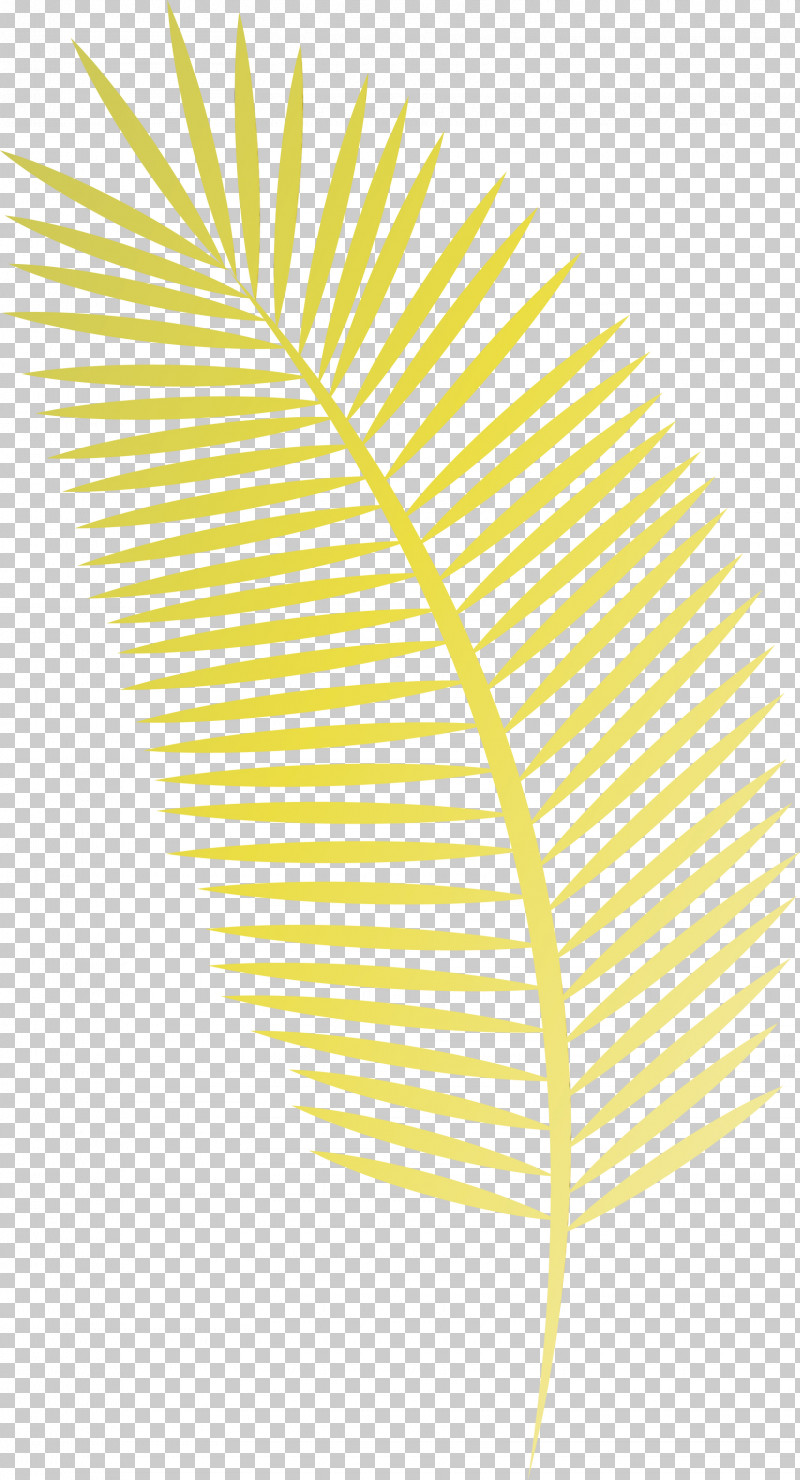 Palm Trees PNG, Clipart, Angle, Arabian Landscape, Art Museum, Leaf, Mtree Free PNG Download