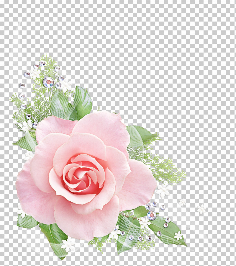 Garden Roses PNG, Clipart, Bouquet, Cut Flowers, Floral Design, Floribunda, Floristry Free PNG Download