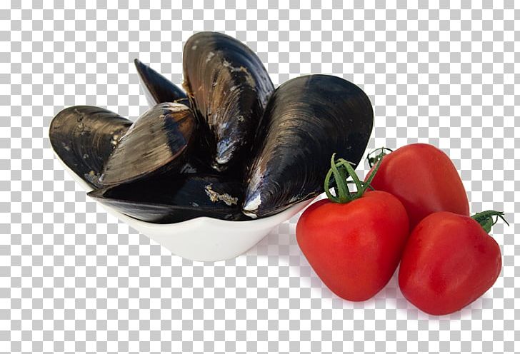 Blue Mussel Clam Bivalvia Food PNG, Clipart, Animal Source Foods, Bivalvia, Blue Mussel, Brackish Water, Cerastoderma Edule Free PNG Download